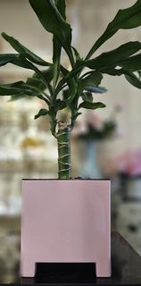 Стильный горшок для цветов ArAs Flowers Нард 2,1, розовый декор и интерьер в дом.