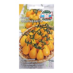 Семена Томат "Золотая кисть", 0,2 г (3 шт.) Седек