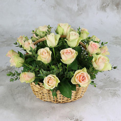 25 зелено-розовых роз в корзине, Кения Букет Маркет Монобукеты R0063 No Brand