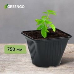 Горшок для рассады, 750 мл, d = 12 см, h = 12,9 см, черный, Greengo