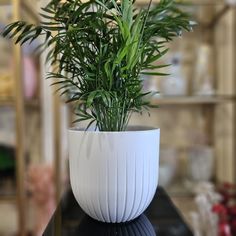 Горшок для цветов ArAs Flowers Альфа Белый, 6,0 л., 1 шт.