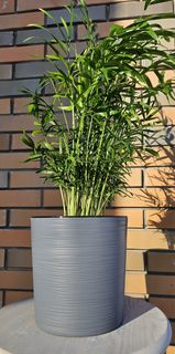 Горшок для цветов ArAs Flowers ВЕГА Цвет - Антрацит на 5,2 л., 1 шт.