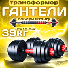 Разборные гантели ТИТАН 19,5 кг 2 шт., общий вес 39 кг + штанга