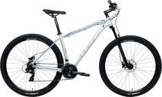 Велосипед WELT Raven 1.0 HD 29 -23г. (22" / светло-серый )