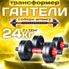 Гантели разборные ТИТАН 24 кг, 2 шт. по 12 кг + штанга