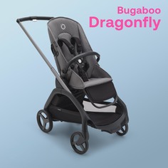 Коляска без капюшона bugaboo dragonfly base graphite grey melange 100047039