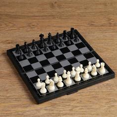 Настольная игра 3 в 1 Зук: нарды, шахматы, шашки, магнитная доска 24.5 х 24.5 см No Brand