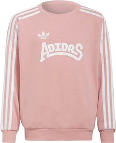 Свитшот детский Adidas Graphic Crew Sweatshirt розовый, 140
