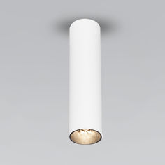 Накладной потолочный LED светильник Elektrostandard Pika 25031/LED 6W 4200К белый