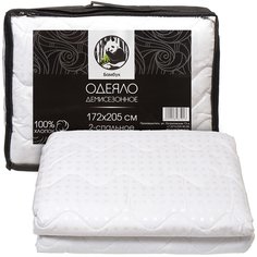 Одеяло 2-спальное, 172х205 см, Бамбук, 250 г/м2, всесезонное, чехол 100% хлопок, кант No Brand