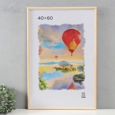 Фоторамка дерево 40х60 см (1700) (пластиковый экран) Зебра