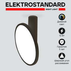 Накладной светодиодный светильник Elektrostandard DLS029
