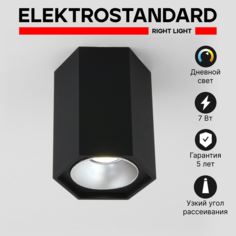Накладной светильник Elektrostandard 25036/LED 4690389176494