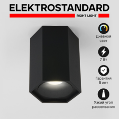 Накладной светильник Elektrostandard 25037/LED
