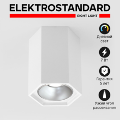 Накладной точечный светодиодный светильник Elektrostandard 25036/LED белый