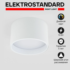 Потолочный акцентный LED светильник Elektrostandard Banti 25123/LED матовый 4200 К 13 Вт