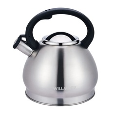 Чайник Willmark WTK-4221SS, матовый, 3.5 л, для всех видов плит
