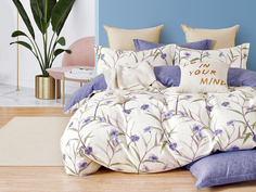 Комплект постельного белья Cleo Satin de Luxe 1,5 спальное сатин наволочки 50х70