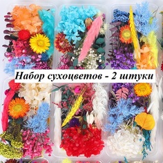 Набор натуральных сухоцветов для творчества For You