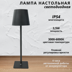 Лампа настольная светодиодная с аккумулятором FEDOTOV 3,5Вт 3000-6000К черный