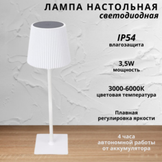 Лампа настольная светодиодная с аккумулятором FEDOTOV 3,5Вт 3000-6000К белый