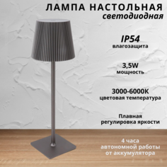 Лампа настольная светодиодная с аккумулятором FEDOTOV 3,5Вт 3000-6000К серый