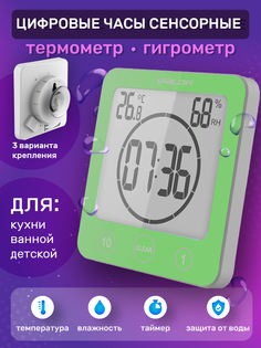 Часы 1016BL термометр, гигрометр, зеленый No Brand