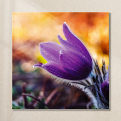 Картина Postermarket Цветок AG 30-38 30х30 см на стекле