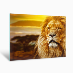 Картина на стекле Postermarket Лев AG 40-48