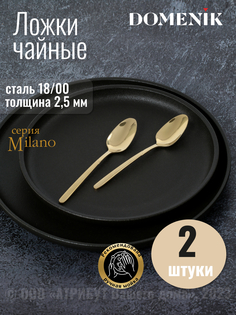 Ложка чайная Domenik MILANO 2шт
