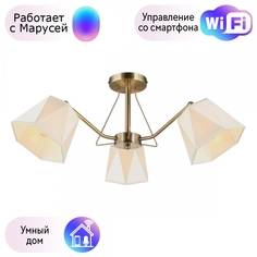 Люстра с поддержкой Маруси потолочная Omnilux OML-65007-03-M