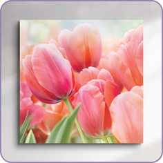 Картина на стекле Postermarket Тюльпаны AG 30-104 30х30 см