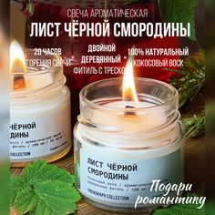 Свечи ароматические восковые интерьерные Paragraph Collection "Лист черной смородины"