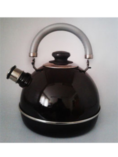 Чайник для плиты Alat Home эмалированный 25 л