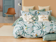 Постельное белье Cleo Satin de Luxe сатин наволочки 50х70 и 70х70