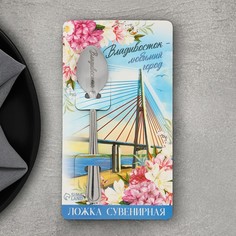 Ложка Семейные традиции, с гравировкой 7895044, на открытке Владивосток, 3 х 14 см