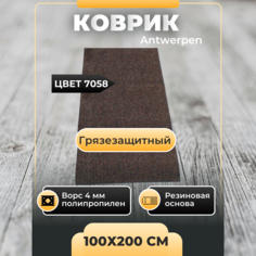 Коврик придверный Antwerpen IDEAL Antw 7058 100х200
