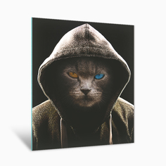 Картина на стекле Postermarket Крутой кот AG 40-162 40х50 см