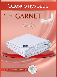 Одеяло евро 200х220 Бел-Поль натуральный гусиный пух Garnet