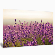 Картина на стекле Postermarket Модель AG 50-14, 50х70 см