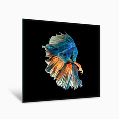 Картина на стекле Postermarket Синяя рыбка AG 44-12, 40х40 см