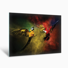 Картина на стекле Postermarket Два попугая AG 40-86, 40х50 см