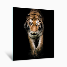 Картина на стекле Postermarket Амурский тигр AG 40-88, 40х50 см