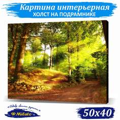 Картина интерьерная на холсте Milato Магия леса IP54-8 50x40см