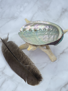 Подставка ракушка Абалон для благовоний белый шалфей и санто, Mudra Chakra, 215717914, 3шт