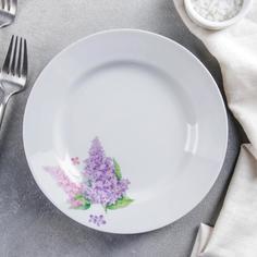 Тарелка Добрушский фарфоровый завод Сирень, d=20 см