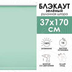 Рулонные шторы Эскар Lux блэкаут 37х170 см, зеленый