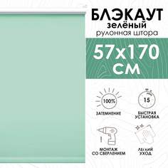 Рулонные шторы Эскар Lux блэкаут 57х170 см, зеленый