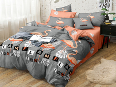 Постельное белье Cleo Pure Cotton семейное с фламинго поплин наволочка 50x70 и 70x70