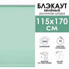 Рулонные шторы Эскар Lux блэкаут 115х170 см, зеленый
